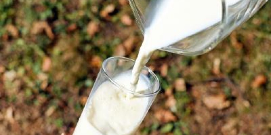 Co je to rBGH mléko?