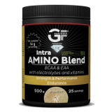 Intra AMINO Blend 500 gramů 