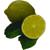 L-Carnitine Water 500ml - lemon-starfruit 