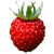 BCAA Instant 300 g - wild strawberry-mint 